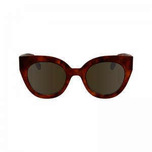 Longchamp Acetate Solbriller Dame Brune | NOGS7942