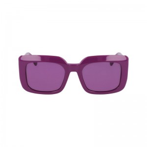 Longchamp Acetate Solbriller Dame Violet | NOLI7923