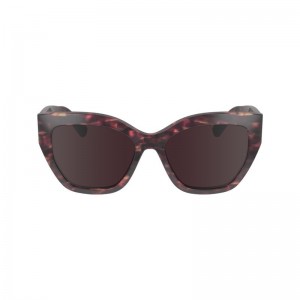 Longchamp Fall-Winter 2023 Collection Acetate Solbriller Dame Rød | NOVR7927