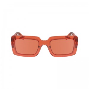 Longchamp Fall-Winter 2023 Collection Plant Based Resin Solbriller Dame Oransje | NODF7917